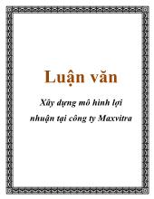 Đề tài Xây dựng mô hình lợi nhuận tại công ty Maxvitra