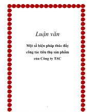 Luận văn Một số biện pháp thúc đẩy công tác tiêu thụ sản phẩm của công ty TSC