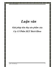 Chuyên đề Giải pháp tiêu thụ sản phẩm của công ty cổ phần Sĩ Ly Bách Khoa