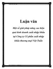 Chuyên đề Một số giải pháp nâng cao hiệu quả kinh doanh xuất nhập khẩu tại công ty cổ phần xuất nhập khẩu thương mại Việt Tuấn