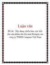 Chuyên đề Xây dựng chiến lược xúc tiến cho sản phẩm sữa lên men Betagen của công ty TNHH Campina Việt Nam