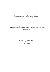 Đề tài Tổng quan về công ty cổ phần gốm xây dựng thương mại và vận tải Hoàng Kim