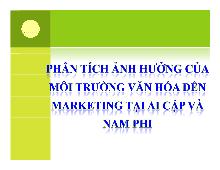 Đề tài Phân tích ảnh hưởng của môi trường văn hóa đến marketing tại Ai Cập và Nam Phi