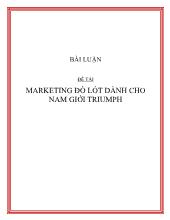 Đề án Marketing đồ lót dành cho nam giới Triumph