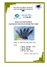 Báo cáo Phân tích tập đoàn thủy sản Minh Phú