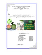 Đề tài Chiến lược xuất khẩu trực tiếp sản phẩm bưởi Tân Triều sang thị trường Đức của doanh nghiệp tư nhân quê hương Tân Triều