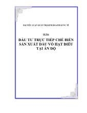 Tiểu luận Đầu tư trực tiếp chế biến sản xuất dầu vỏ hạt điều tại Ấn Độ
