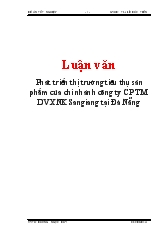 Đề án Phát triển thị trường tiêu thụ sản phẩm của chi nhánh công ty cổ phần thương mại dịch vụ xuất nhập khẩu Sangiang tại Đà Nẵng