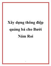 Đề tài Xây dựng thông điệp quảng bá cho bưởi Năm Roi