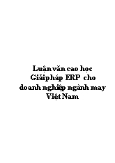 Luận văn Giải pháp ERP cho doanh nghiệp ngành may Việt Nam