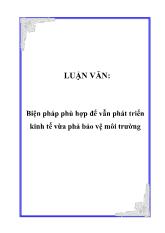 Đề tài Quan điểm và giải pháp của nước ta trong việc giải quyết mối quan hệ giữa phát triển kinh tế và bảo vệ môi trường sinh thái giai đoạn hiện nay