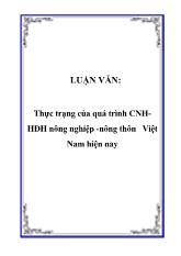 Đề tài Giải pháp phát triển nông nghiệp Việt Nam trong quá trình công nghiệp hóa-Hiện đại hóa