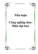 Đề tài Các vấn đề cơ bản về công nghịêp hoá-Hiện đại hoá ở Việt Nam