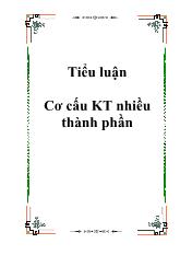 Đề tài Cơ cấu kinh tế nhiều thành phần ở nước ta hiện nay và ích lợi của việc sử dụng cơ cấu nhiều thành phần đó vào phát triển kinh tế xã hội trong thời kỳ quá độ lên CNXH ở Việt Nam