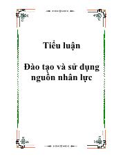 Đề tài Thực trạng và giải pháp để nâng cao hiệu quả của đào tạo và sử dụng nguồn nhân lực phục vụ cho sự nghiệp công nghiệp hoá, hiện đại hoá ở Việt Nam