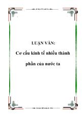 Tiểu luận Cơ cấu kinh tế nhiều thành phần của nước ta