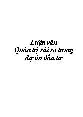 Tiểu luận Quản trị rủi ro trong dự án đầu tư
