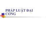 Bài giảng Pháp luật đại cương chương 1: Nhà nước CNXHCN Việt Nam và địa vị pháp lý của các CQ trongBMNN