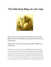 Tìm hiểu hoạt động các sàn vàng ở Việt Nam