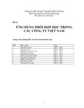Đề tài Ứng dụng phối hợp dọc trong các công ty Việt Nam
