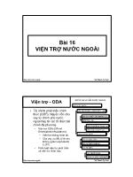Bài giảng Viện trợ nước ngoài - Vũ Thành Tự An