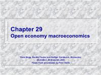 Open economy macroeconomics