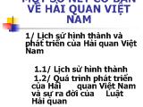 Bài giảng Một số nét cơ bản về Hải quan Việt Nam