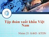 Bài giảng Tập đoàn xuất khẩu Việt Nam