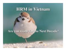 Quản trị nhân sự ở Việt Nam