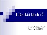 Bài giảng Liên kết kinh tế - Đàm Quang Vinh