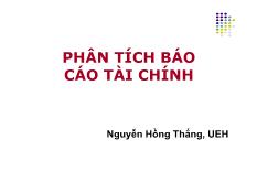 Báo cáo Phân tích tài chính - Nguyễn Hồng Thắng
