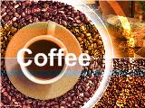Đề tài Giải pháp nâng cao thương hiệu COFFEE Việt Nam