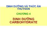 Bài giảng Dinh dưỡng và thức ăn thủy sản chương 4: Dinh dưỡng carbonhydrate