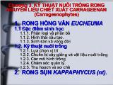 Bài giảng Kỹ thuật nuôi trồng rong nguyên liệu chiết xuất Carrageenan