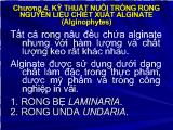 Bài giảng Kỹ thuật nuôi trồng rong nguyên liệu chiết xuất Alginate