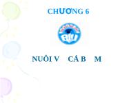 Bài giảng Nuôi vỗ cá bố mẹ