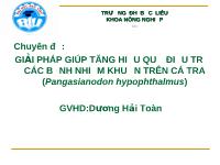 Chuyên đề Giải pháp giúp tăng hiệu quả điều trị các bệnh nhiễm khuẩn trên cá tra (pangasianodon hypophthalmus)