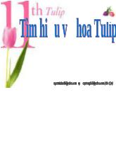 Tìm hiểu về hoa tulip