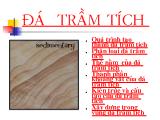 Bài giảng Đá trầm tích