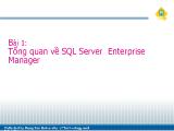 Bài giảng Bài 1: Tổng quan về SQL Server Enterprise Manager