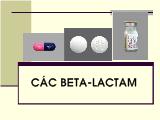 Bài giảng Các beta-Lactam