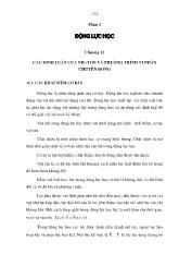 Bài giảng Các định luật của Niu-Tơn và phương trình vi phân chuyển động