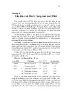 Bài giảng Cấu trúc và chức năng của các RNA