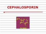 Bài giảng Cephalosporin