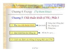 Bài giảng Chất thuần khiết