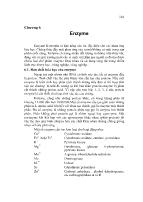 Bài giảng chương 6: Enzyme