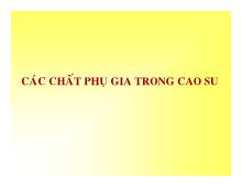 Bài giảng Công nghệ cao su: Các chất phụ gia trong cao su