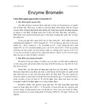 Bài giảng Công nghệ enzyme: Enzyme bromelin