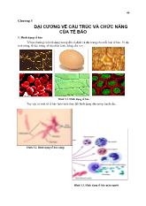 Bài giảng Đại cương về cấu trúc và chức năng của tế bào