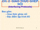 Bài giảng Giao thức ghép nối (Interfacing Protocols)